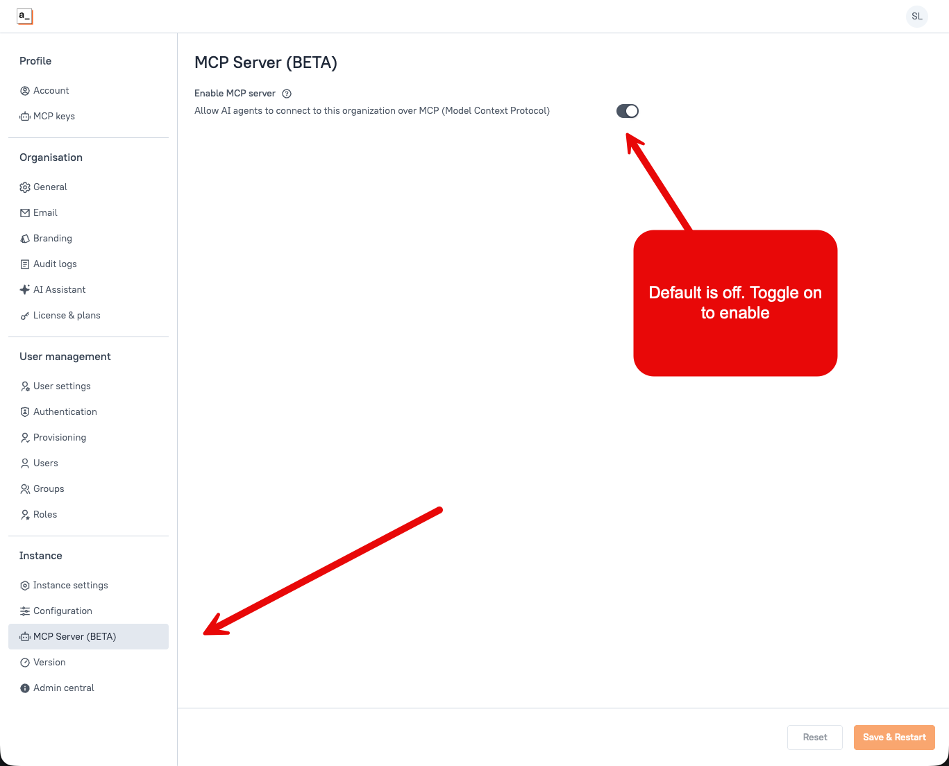 MCP Server beta setting under Instances on a self-hosted deployment